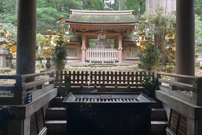 Full-Day Private Guided Tour to Mount Koya - Private Transportation