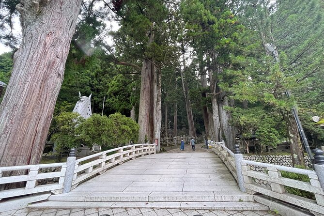 Full-Day Private Guided Tour to Mount Koya - Lunch and Refreshments