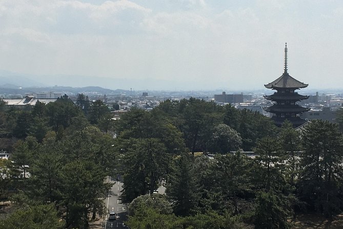 Full-Day Private Guided Tour to Nara Temples - Itinerary Overview
