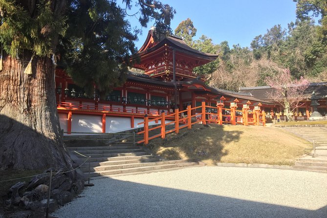 Full-Day Private Guided Tour to Nara Temples - Local Guide Expertise
