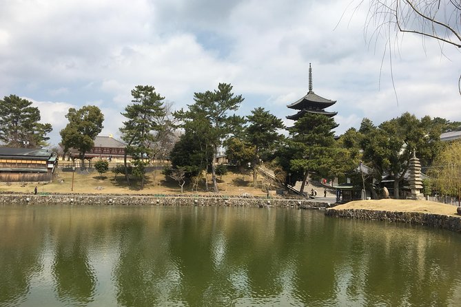 Full-Day Private Guided Tour to Nara Temples - Transportation and Logistics