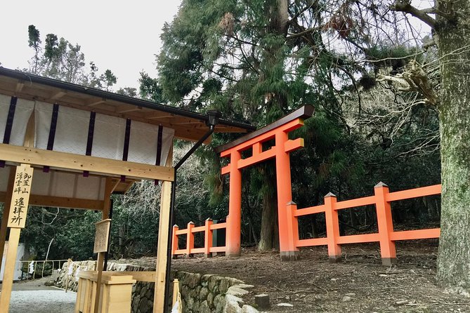Full-Day Private Guided Tour to Nara Temples - Booking and Pricing Details