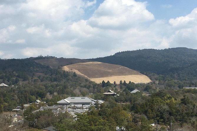 Full-Day Private Guided Tour to Nara Temples - Common Questions