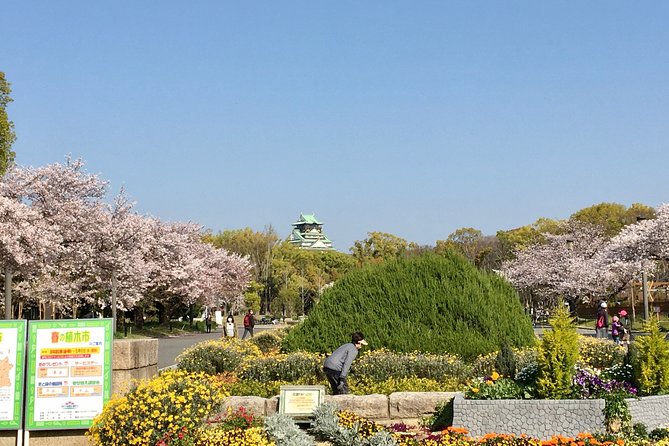Full-Day Private Guided Tour to Osaka Palaces and Temples - Common Questions