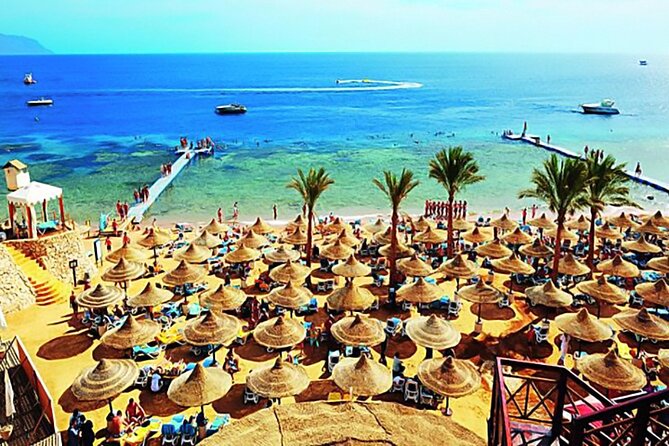 Full-Day Private Guided Tour To Red Sea EL Ain Sokhna From Cairo - Contact and Reservations
