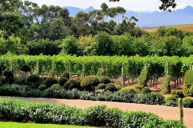 Full-Day Private Guided Wine Tasting Tour of Cape Wineries - Inclusions