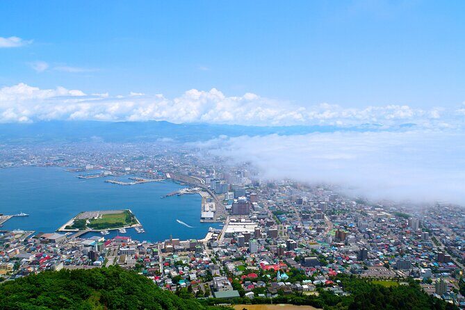 Full-Day Private Hakodate Shore Tour with Local Guide - A Detailed Look at the Hakodate Shore Tour