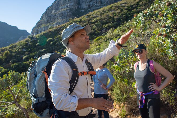 Full Day Private Hiking Table Mountain & City - Tour Overview