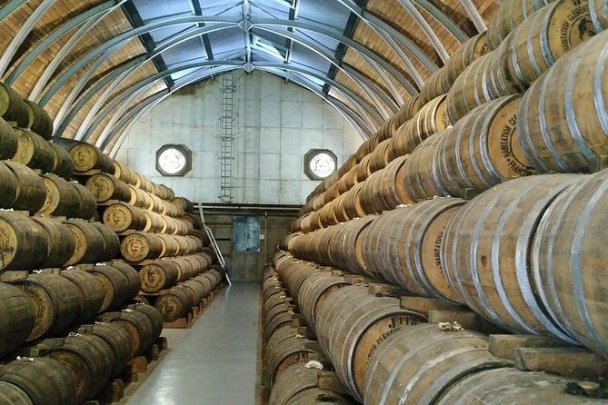 Full Day Private Historic Tour of Rum Production in Martinique - Distillery Visits