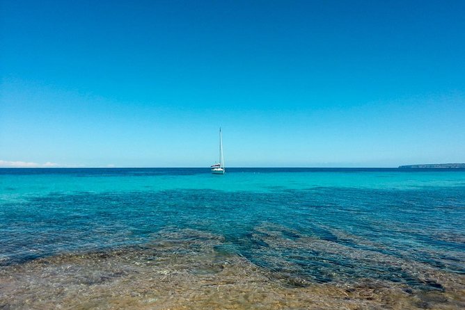 Full-Day Private Ibiza and Formentera Charter Cruise - Experience and Activities