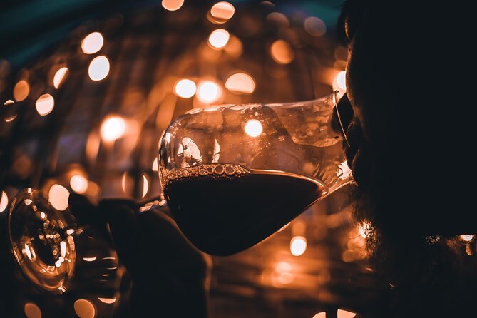 Full Day Private Individual Wine and Food Experience - Wine Tasting Sessions