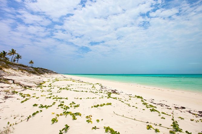 Full-Day Private Island Getaway in the Turks and Caicos Islands - Snorkeling and Water Activities Schedule