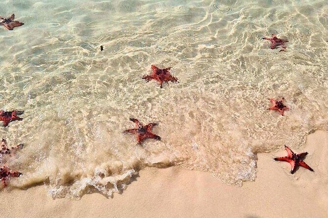 Full Day Private Journey to Northern Phu Quoc - A Deep Dive into the Itinerary