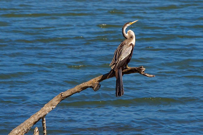 Full Day Private Kandy/ Sigiriya Sightseeing Tour - Pricing and Reviews
