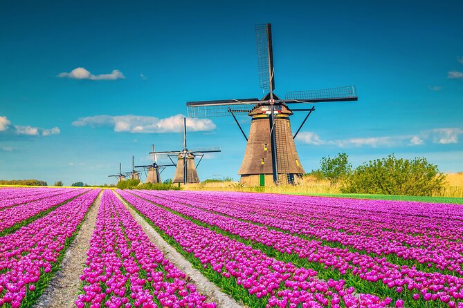 Full Day Private Kinderdijk Photography Tour From Rotterdam Port - Cancellation Policy and Refund Information