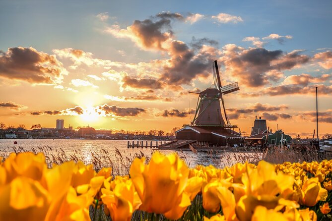 Full Day Private Kinderdijk Photography Tour From Rotterdam Port - Important Reminders for Participants