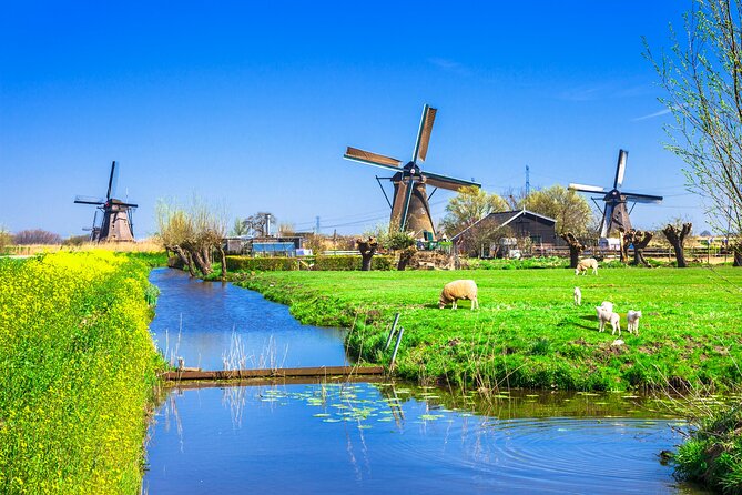 Full Day Private Kinderdijk Photography Tour From Rotterdam Port - Common Questions