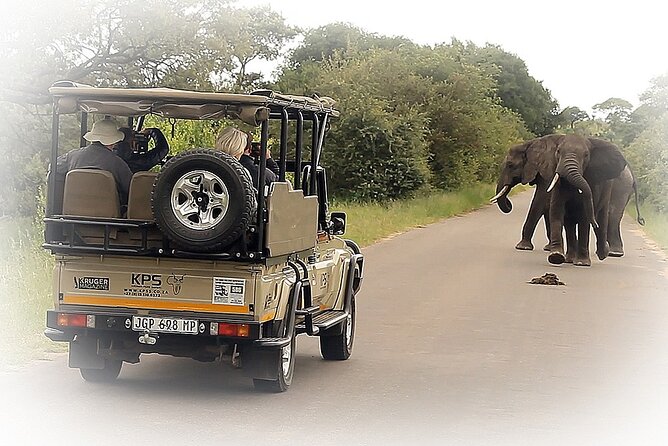Full Day Private Kruger Park Safari - Safari Drive Experience