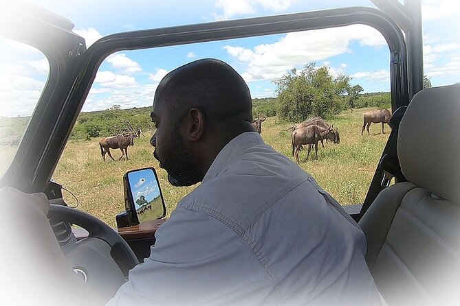 Full Day Private Kruger Park Safari - Authentic Traveler Reviews