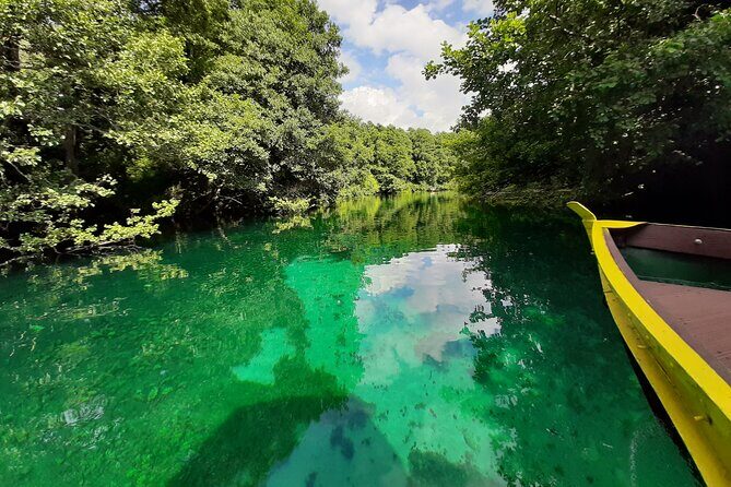 Full-Day Private Lake Ohrid and Albania Tour from Ohrid - Value for Money and Overall Experience