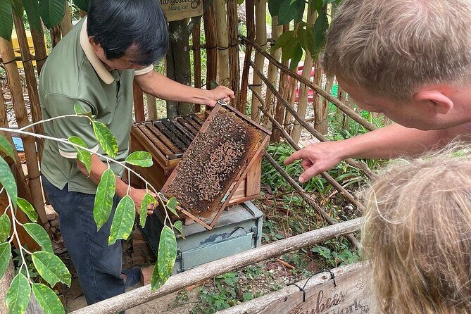 Full Day Private Land Tour North Phu Quoc Island - Exploring North Phu Quoc: What You Can Expect