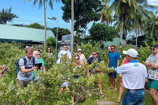 Full Day Private Land Tour South Phu Quoc Island - Practical Details and Value