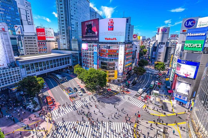 Full Day Private Luxury Tokyo Tour - Inclusions and Services