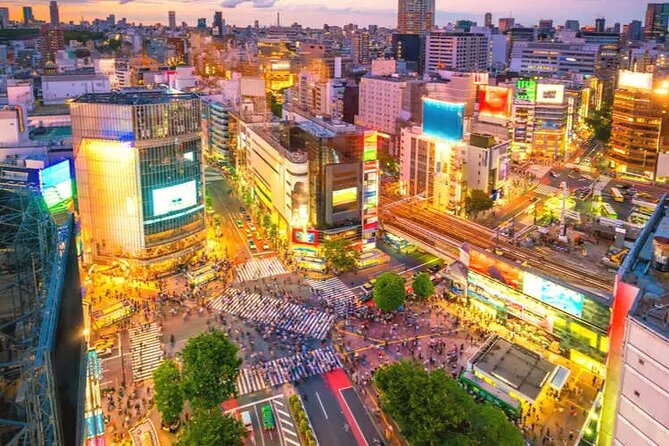 Full Day Private Luxury Tokyo Tour - Pricing