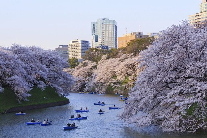 Full Day Private Luxury Tokyo Tour - Itinerary Highlights