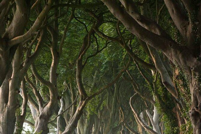 Full Day Private Luxury Tour of Causeway Coast (Giants Causeway) - Ballintoy Harbour: A Quaint Coastal Village