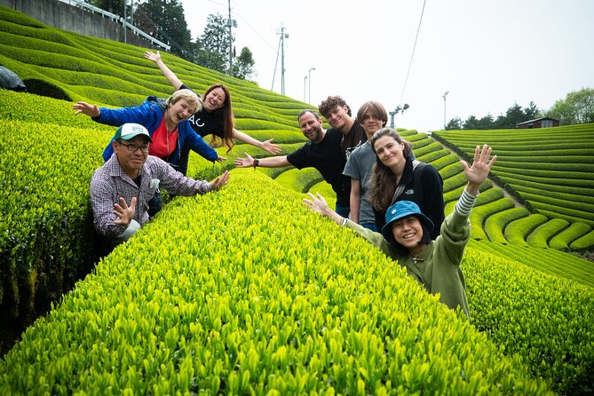 Full Day Private Matcha Experience True Hidden Kyoto - Experience Details