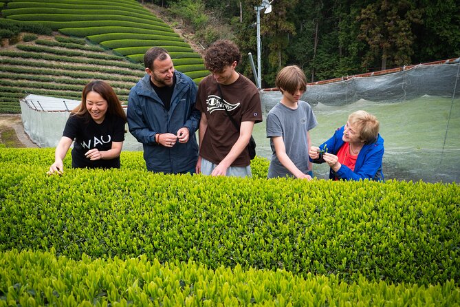 Full Day Private Matcha Experience True Hidden Kyoto - Menu Highlights