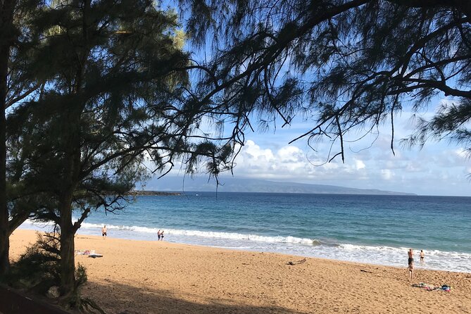 Full Day Private Maui Tour - Tour Itinerary