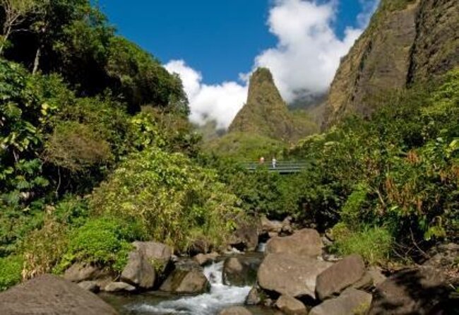 Full Day Private Maui Tour - Tour Inclusions