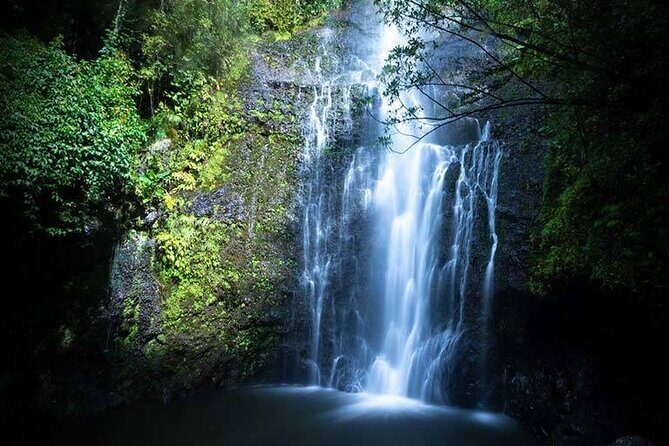 Full Day Private Maui Waterfall, Beach & Hana Tour - Practical Details and Tips