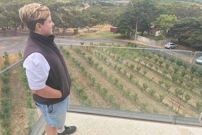 Full-Day Private McLaren Vale Wine Tour - Common Questions