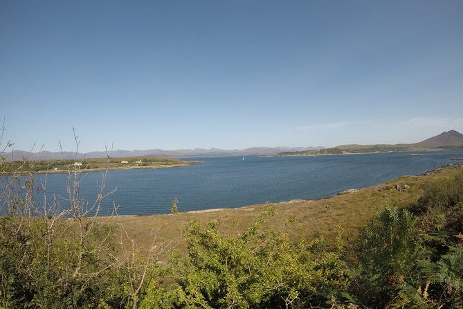 Full-day Private Mizen Head tour from Killarney - What to Expect from the Full-day Private Mizen Head Tour