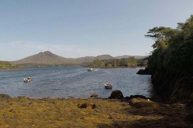 Full-day Private Mizen Head tour from Killarney - Frequently Asked Questions