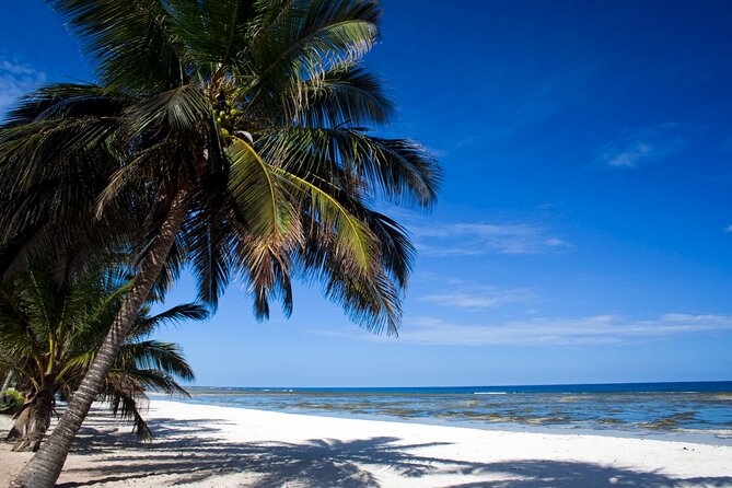 Full Day Private Mombasa Tour - Additional Details
