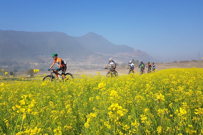 Full Day Private Mountain Biking Tour in Kathmandu - Common Questions
