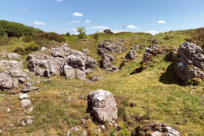 Full Day Private Nature Tour in Somerset - Tour Details