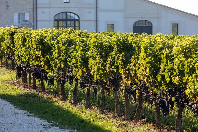 Full Day Private Nemea Wine Tour Experience From Athens - Contact and Legal