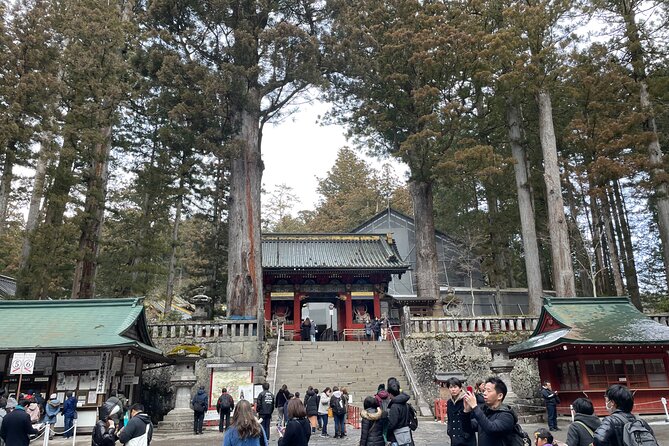 Full Day Private Nikko Tour With English& Hindi Speaking Driver - Customer Reviews