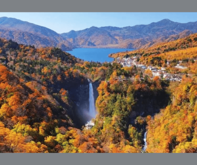 Full-Day Private Nikko Tour With English Speaking Driver - Tour Inclusions
