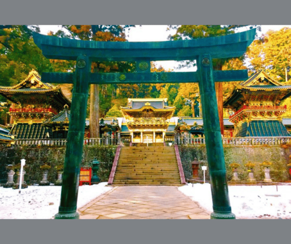 Full-Day Private Nikko Tour With English Speaking Driver - Transportation Details