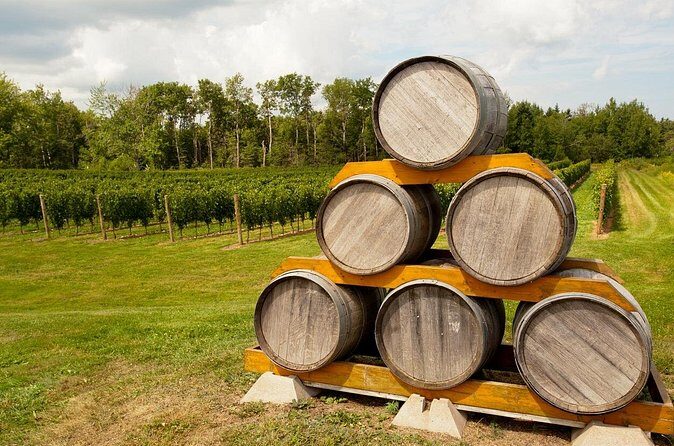 Full-Day Private Nova Scotia Wine Tour from Halifax - What’s Included and What Costs Extra