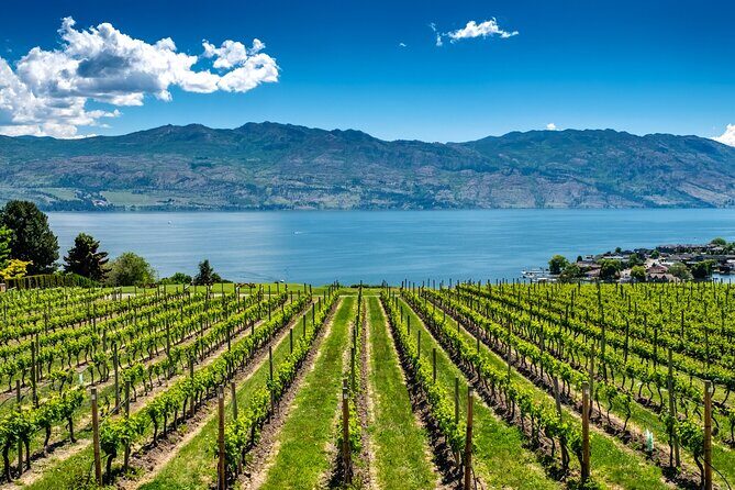Full-Day Private Okanagan Valley Wine Tour from Kelowna - Introduction