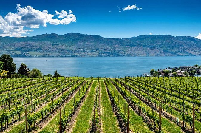 Full-Day Private Okanagan Valley Wine Tour from Kelowna - Who Is This Tour Best For?