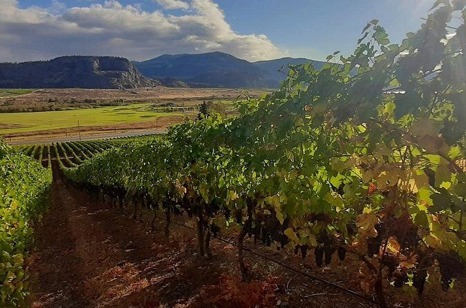 Full-Day Private Oliver & Osoyoos Wine Tour from Kelowna - FAQ