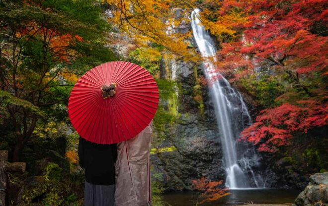Full Day Private Osaka City Tour With Englishspeaking Guide - Experience Description